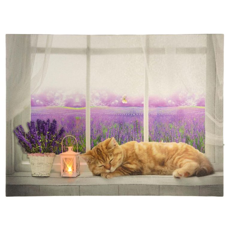 Nástenná maľba mačka na okne, 1 LED, 30 x 40 cm