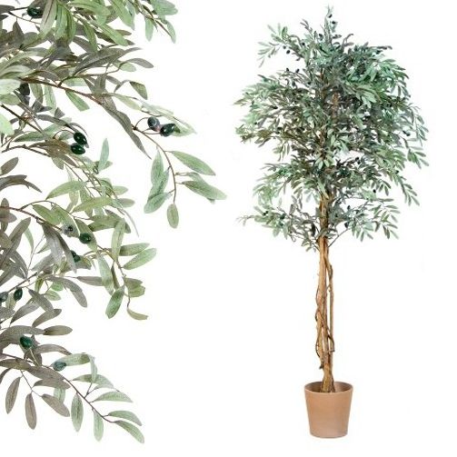 PLANTASIA Umělý strom olivovník, 180 cm