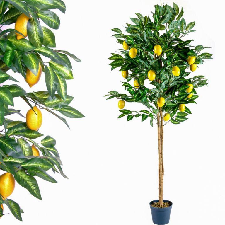 Umělá květina strom - citronovník - 184 cm
