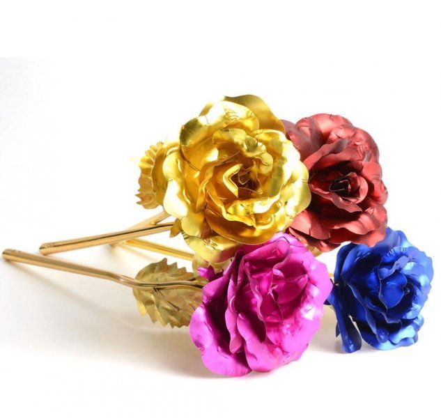 Farebná dekoratívna ruža