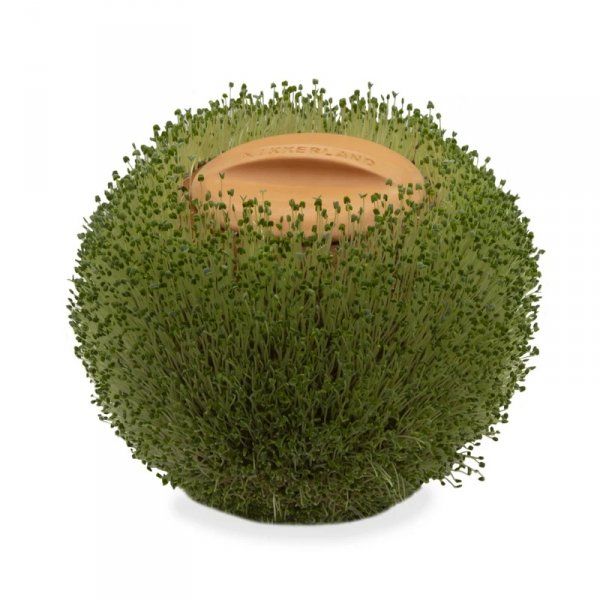 Terrakotta virágcserép 14,1 x 15 cm