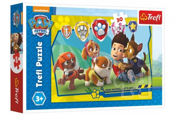 Puzzle Paw Patrol/Tlapková patrola Ryder a kamarádi 27x20cm