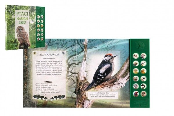 Zvuková knížka Ptáci našich lesů 22,5 x 21 cm, na baterie