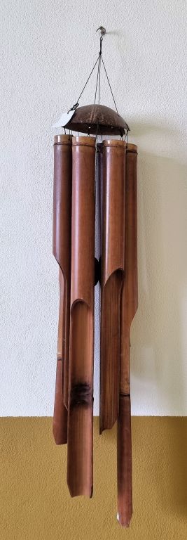 Zvonkohra bambus, 80 cm