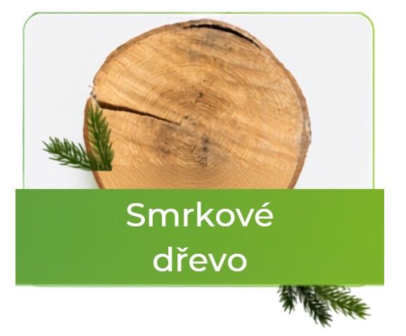 Pohled na přední stěnu sauny s prosklenými dveřmi a světlým dřevem