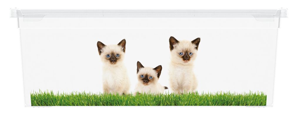 KIS Puppy and Kitten 57493 Plastový box - XS